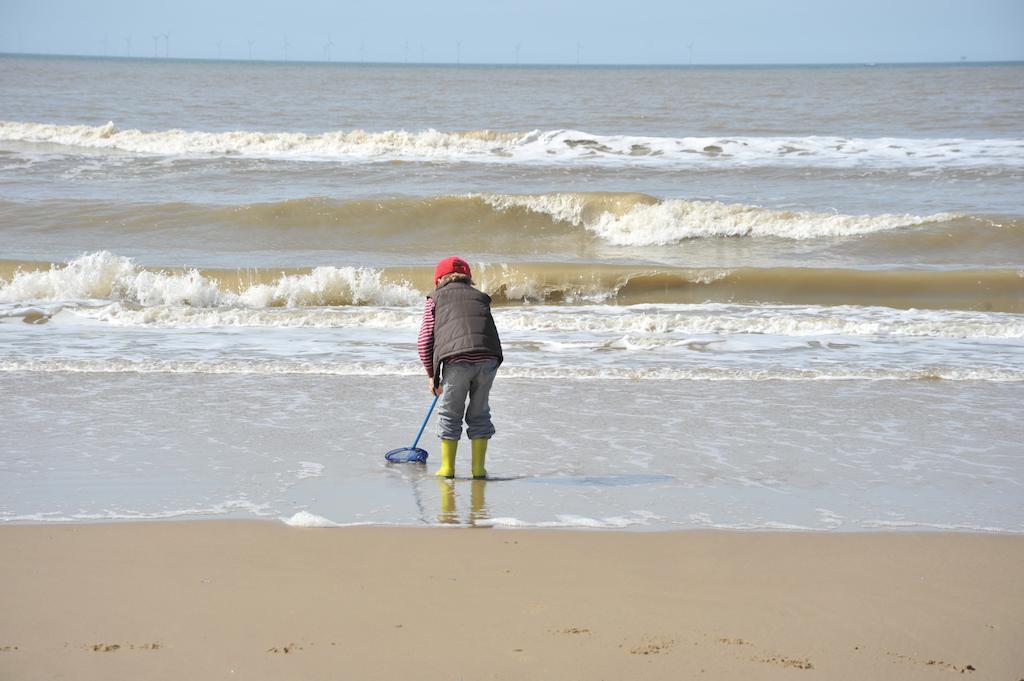 Hotel Zuiderduin Egmond aan Zee Exteriör bild